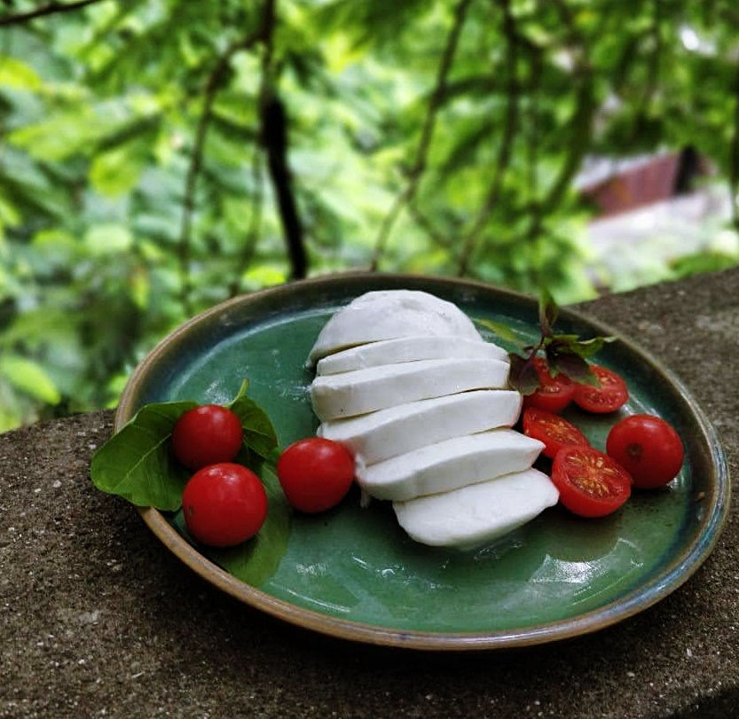 Can You Have Buffalo Mozzarella While Pregnant